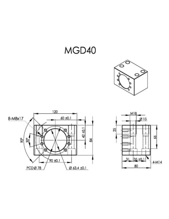 MGD40_SYK_img.2