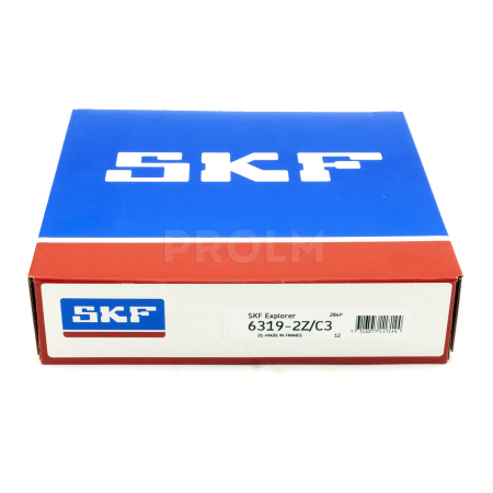 SKF_6319-2Z_C3.img.02