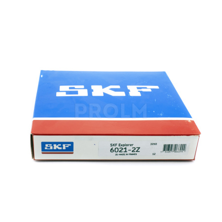 SKF_6021-2Z.img.02