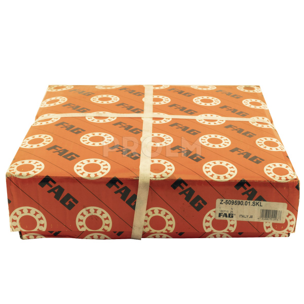 FAG_Z-509590.01.SKL.img.02