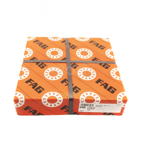 FAG_6318-M-C3.img.02