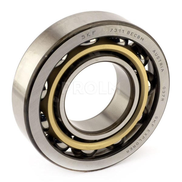 SKF_7311 BECBM.img.01
