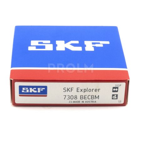 SKF_7308 BECBM.img.02