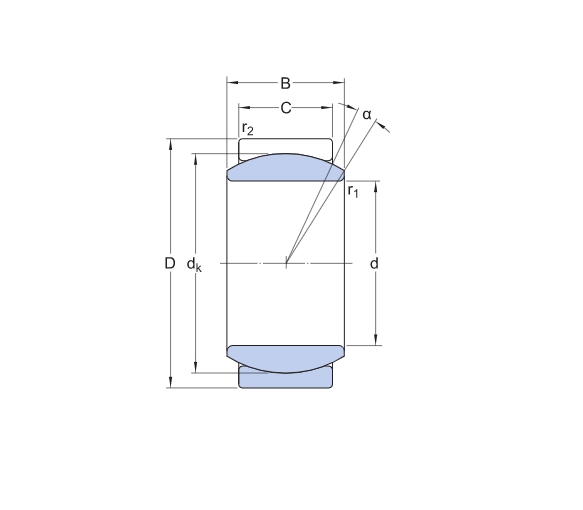 SKF_GE_12