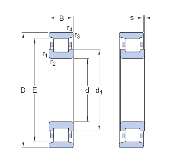 SKF_N_XXX_ECP