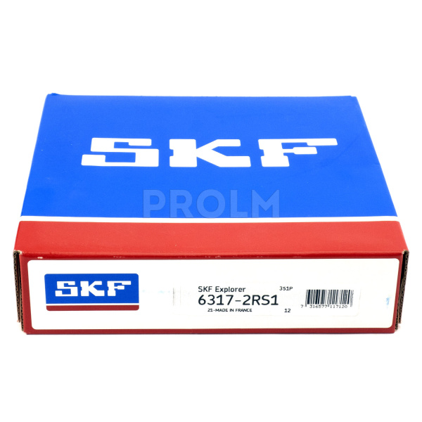SKF_6317-2RS1.img.02