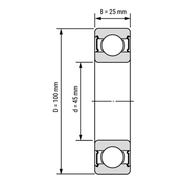 ArtNC_6309-2RS-P6-C3-ZV3