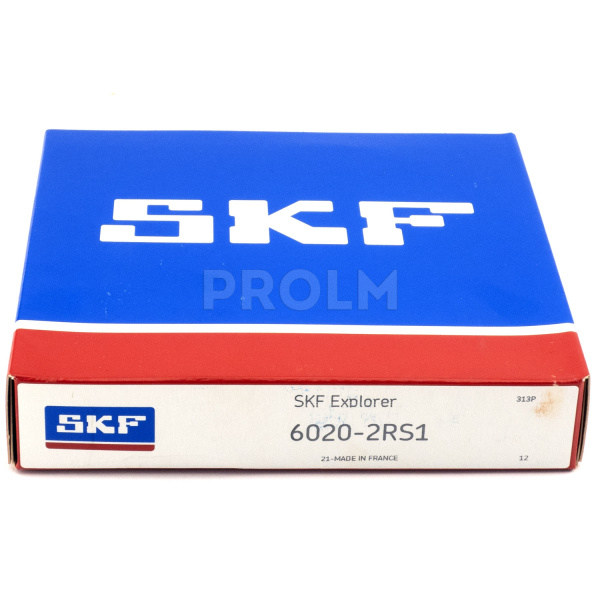 SKF_6020-2RS1.img.02