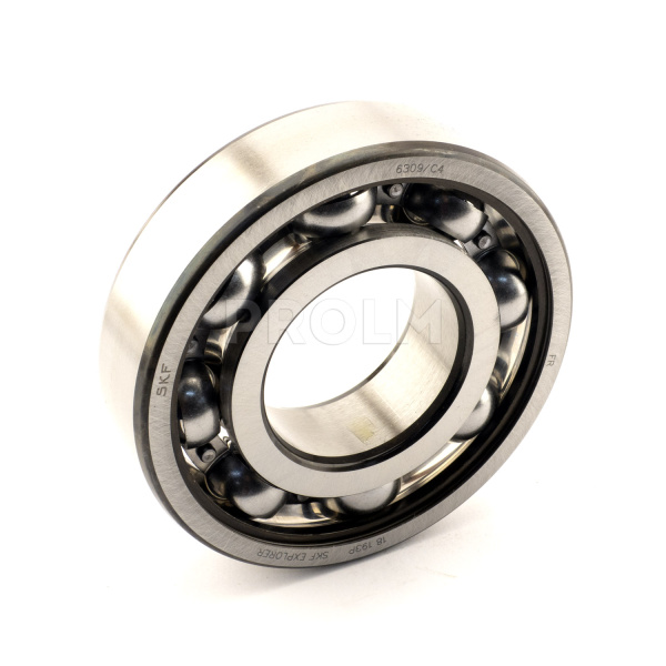 SKF_6309-C4.img.01