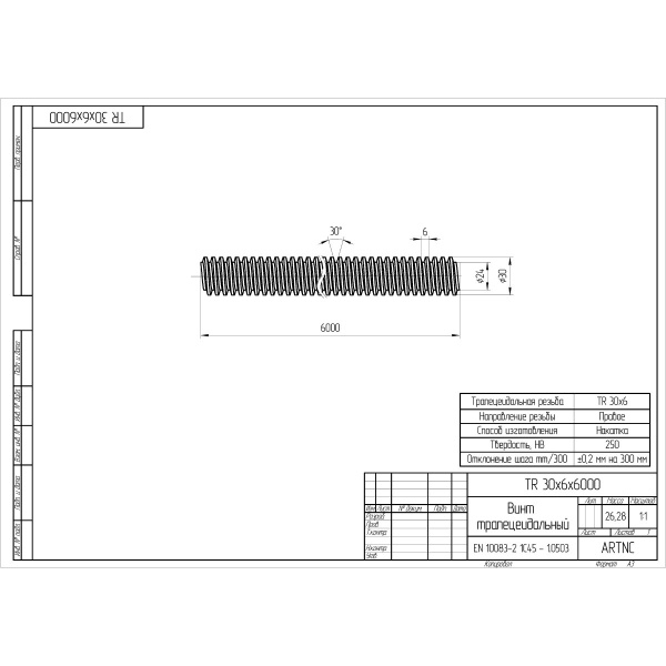 TR30x6x6000(C45)