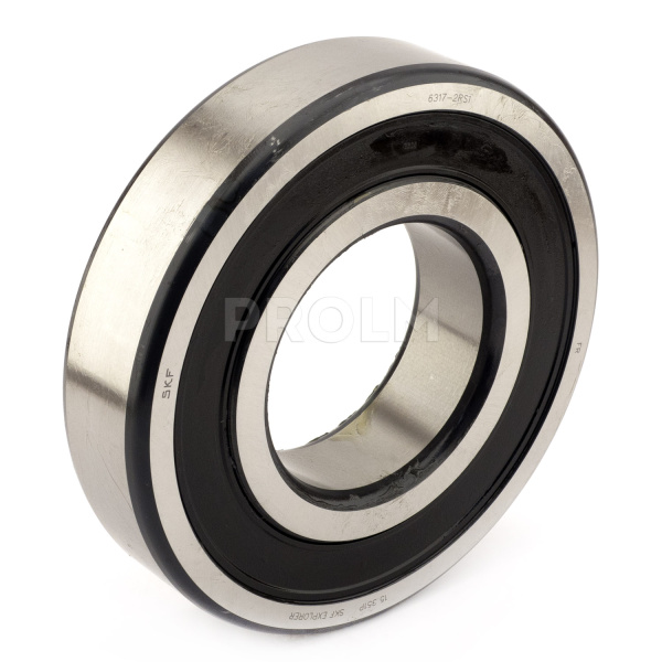 SKF_6317-2RS1.img.01